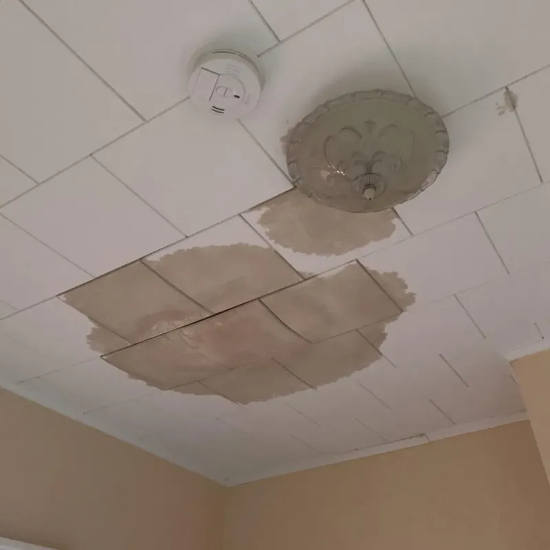 Ceiling Water Damage Repair in Landrum, SC